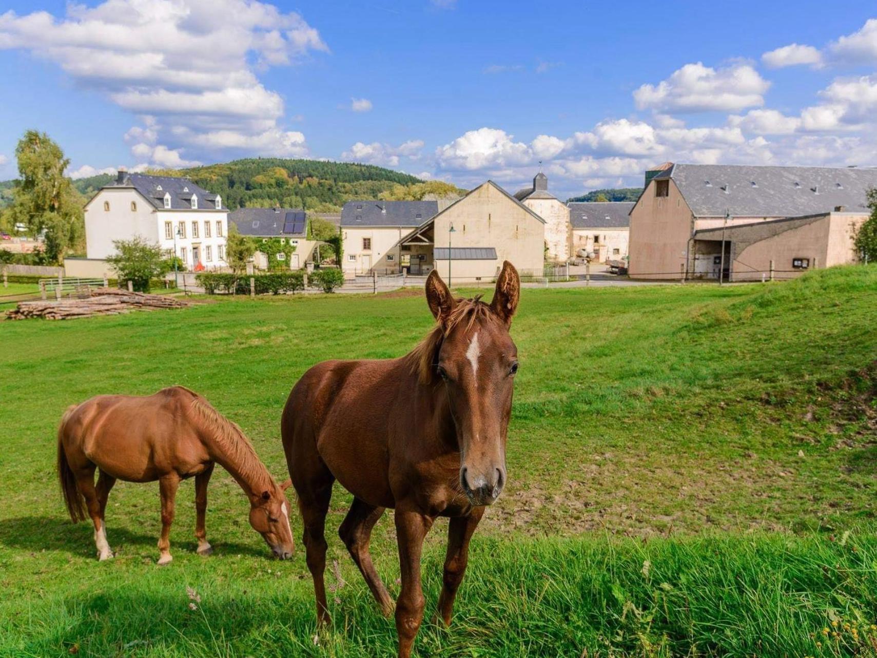 Cottage House Weyer Horse&Groom Room ภายนอก รูปภาพ